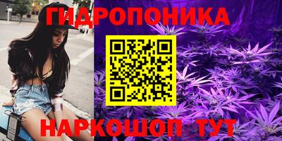 apvp Дубна