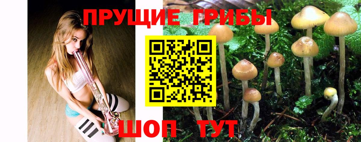 Псилоцибиновые грибы мухоморы Лыткарино